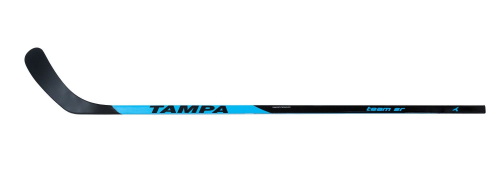 Клюшка Fischer Tampa Team Grip SR