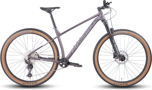 Велосипед Hagen 5.12 29 (2025)