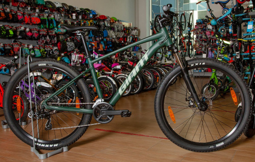 Велосипед Giant Talon 4 27,5" (2021), рама M (165-175 см), зеленый