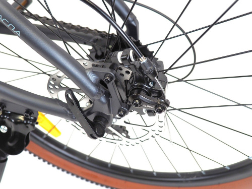 Велосипед Falcon Bike Shift 2.0 24 (2025), рама 12" (130-155 см), серый