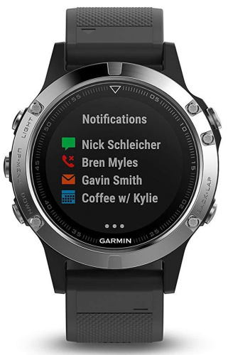 Часы GARMIN Fenix 5 (Black/Silver)